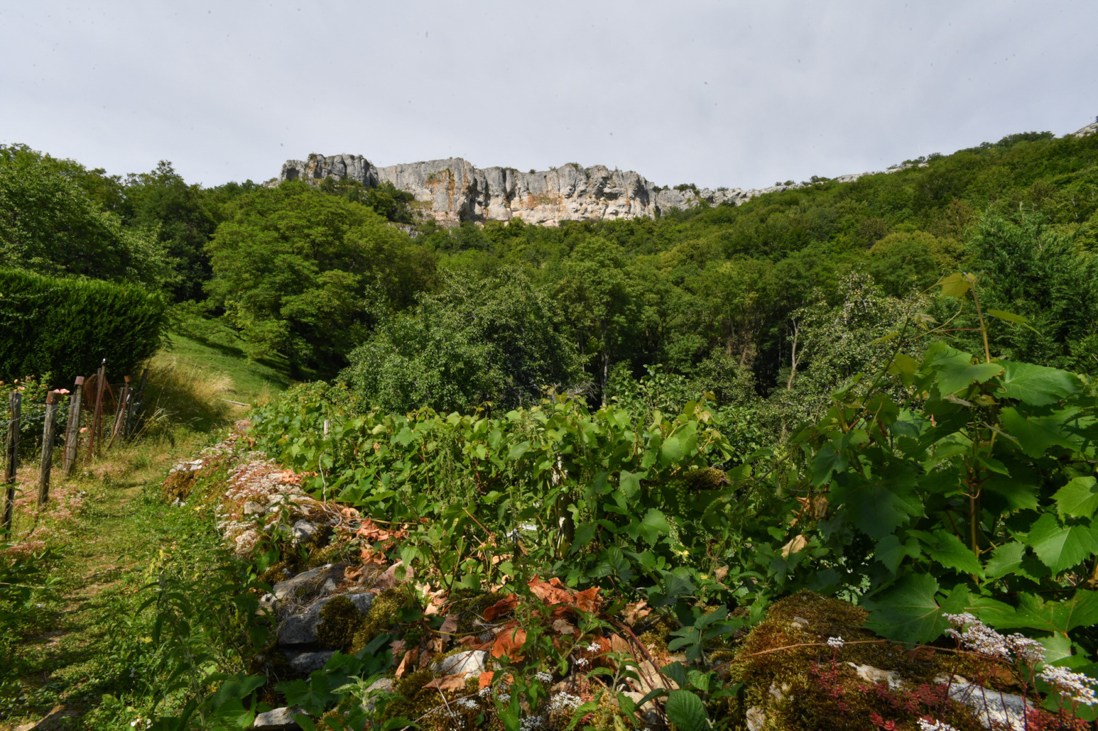 L'Espace Naturel Sensible Baulme-la-Roche